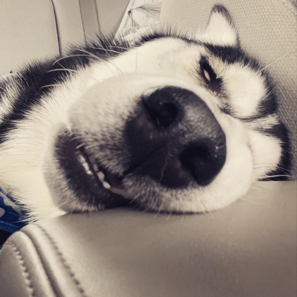 Meet your Posher, Ivori